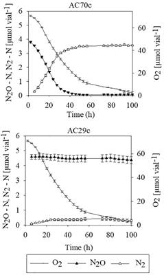 Host Range and Symbiotic Effectiveness of N2O Reducing Bradyrhizobium Strains